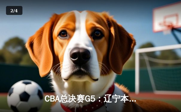 CBA总决赛G5：辽宁本钢加时险胜广东宏远，成功卫冕总冠军 - 2
