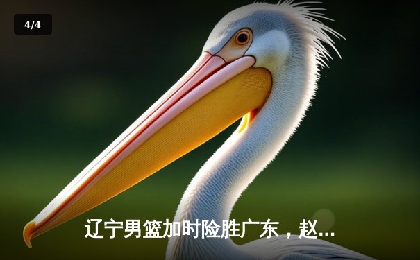 辽宁男篮加时险胜广东，赵继伟35分导演逆转好戏 - 4